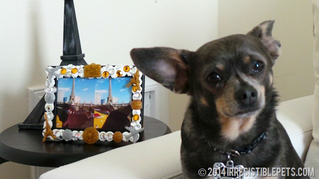 DIY 3D Decoden Vacation Photo Frame Chuy Chihuahua