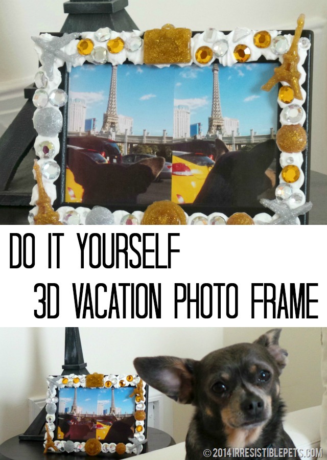 DIY 3D Vacation Photo Frame by IrresistiblePets.com