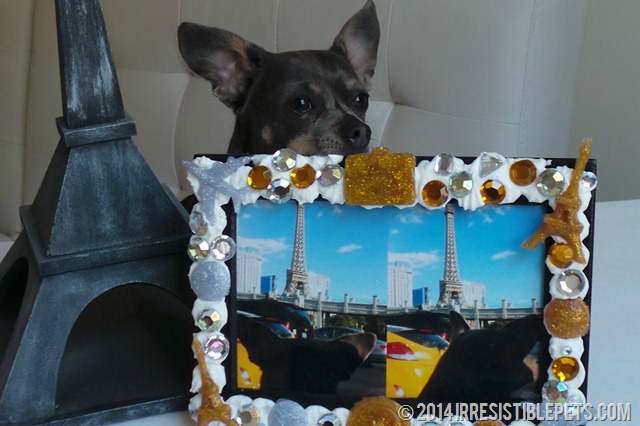 DIY Photo Frame with Chuy