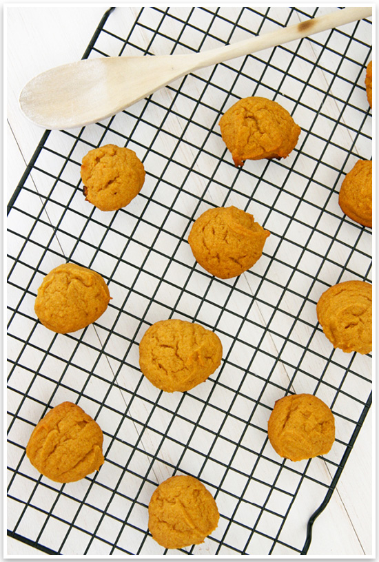 DIY Halloween Dog Treat Recipe | Looking for a quick and easy way to get your dog in on the Halloween spirit? Try our quick and easy Halloween dog treat recipe! Click for the full tutorial. | Pretty Fluffy