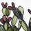 Stained Glass Cacti and Succulents By Lesley Green